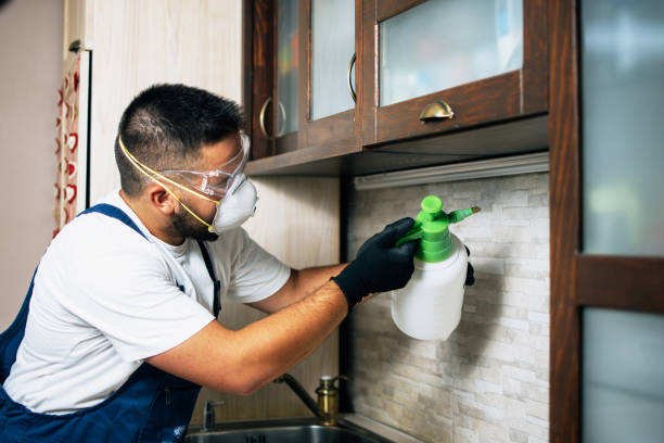 Best Exterminator Services  in Waverly, OH