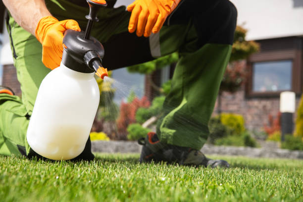 Best Flea Control Services  in Waverly, OH