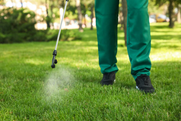 Best Pest Prevention Services  in Waverly, OH