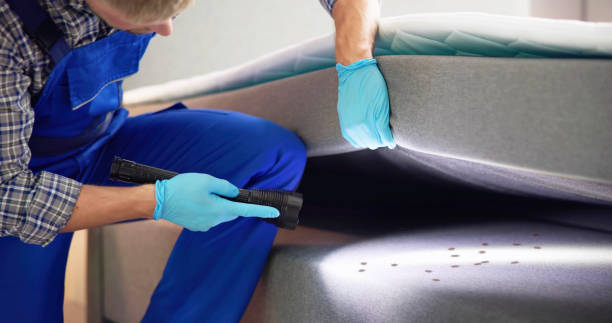 Best Pest Removal Services  in Waverly, OH