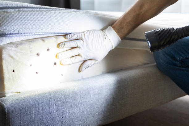 Best Emergency Pest Control  in Waverly, OH