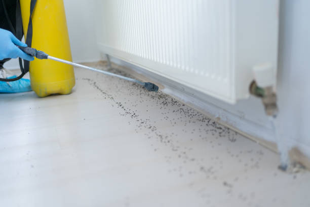 Best Mosquito Control Services  in Waverly, OH