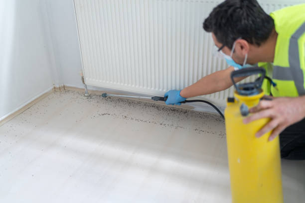 Best Affordable Pest Control Services  in Waverly, OH
