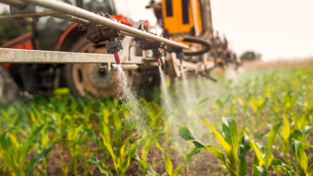 Professional Pest Control in Waverly, OH